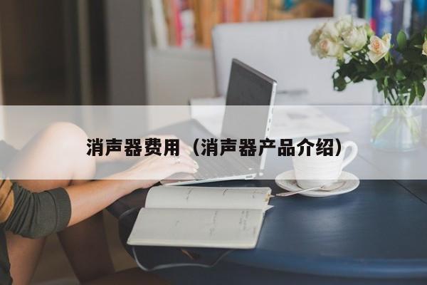 消声器费用（消声器产品介绍）