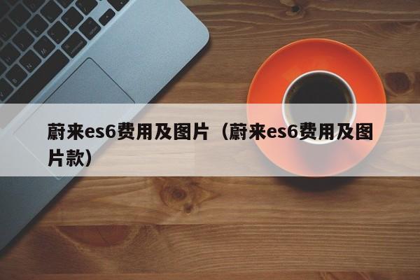 蔚来es6费用及图片（蔚来es6费用及图片款）