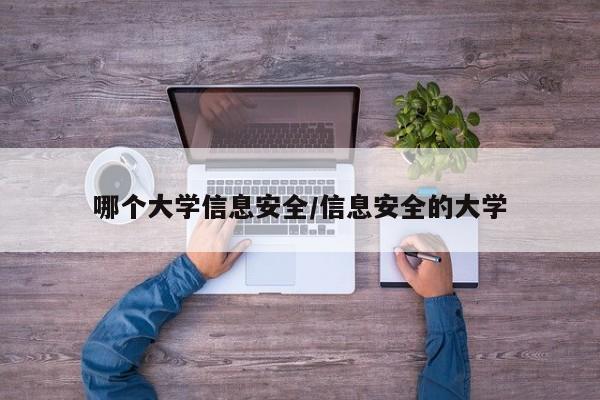 哪个大学信息安全/信息安全的大学